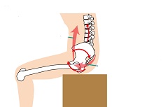 骨盤後傾.jpg